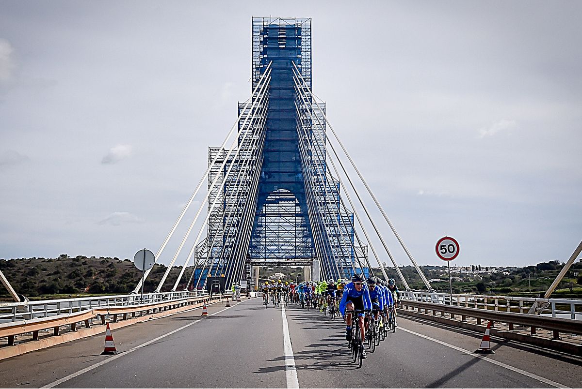Plenty of scaffolding the bridge