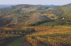 DEC280.adv_01_chianti_classico.gaiole_cantalici_a_dx.jpg