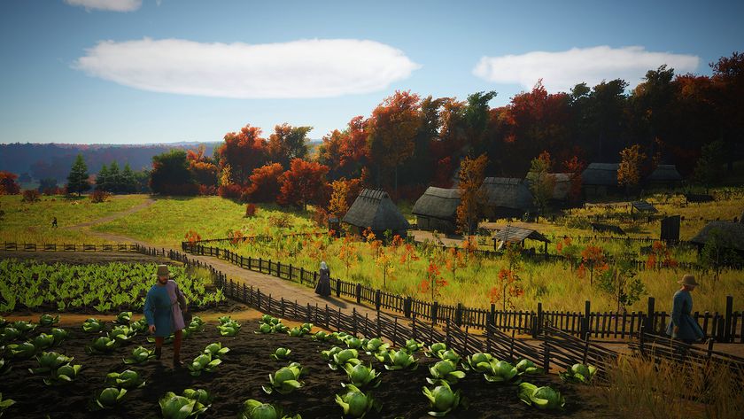 Manor Lords screenshot showing medieval-style farm fields featuring autumn-esque colouring