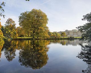 the lake at Buckingham Palace gardens