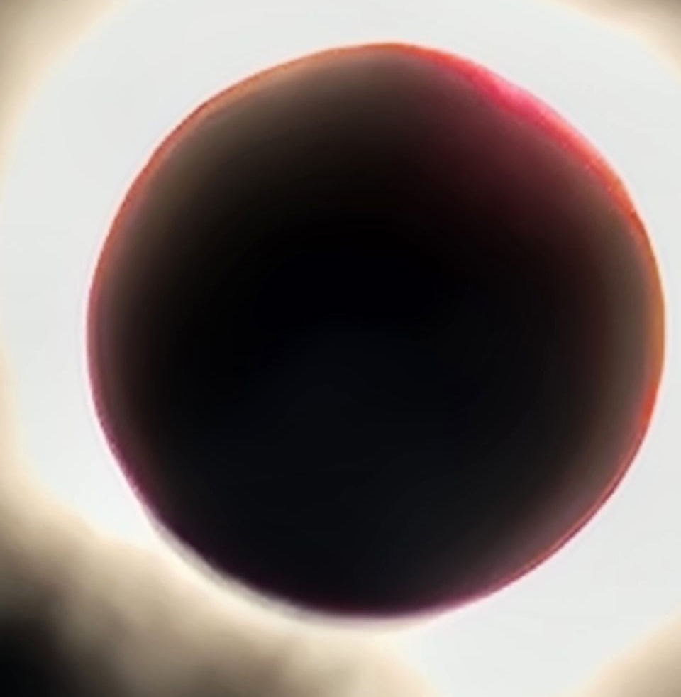 Eclipse 2024 Reader Submissions