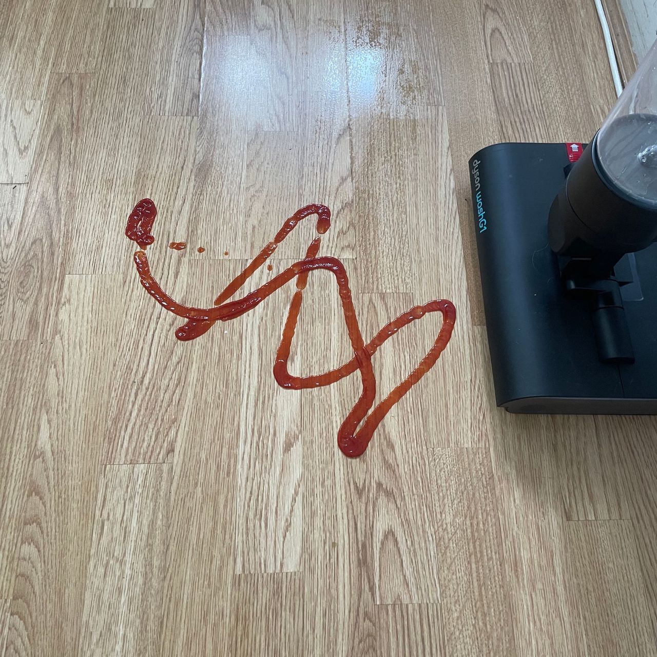 Ketchup squirted on wooden floor next to Dyson WashG1