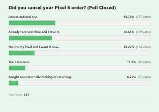 Google Pixel 6 Orders Poll Responses