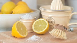 picture of lemons, salt and a scrubbing brush on a wooden chopping board