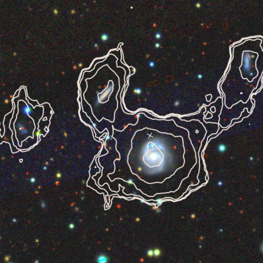 view of a patch of deep space, with red, yellow, blue and orange dots representing distant galaxies. white contour lines outline clouds of gas that connect three of these galaxies