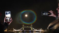 OnePlus 9 Hasselblad camera