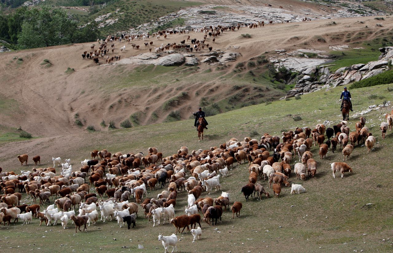 Cattle herders in China&amp;#039;s Xinjing provence, part of the country&amp;#039;s &amp;quot;new frontier.&amp;quot;