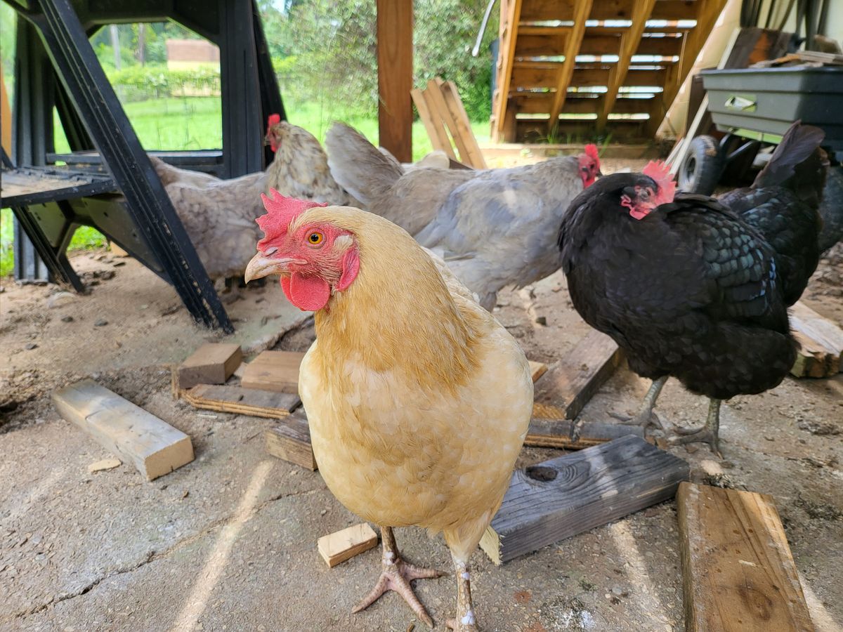 Daytime camera samples from the Galaxy Z Fold 3