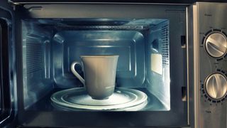 a mug of water inside a microwave
