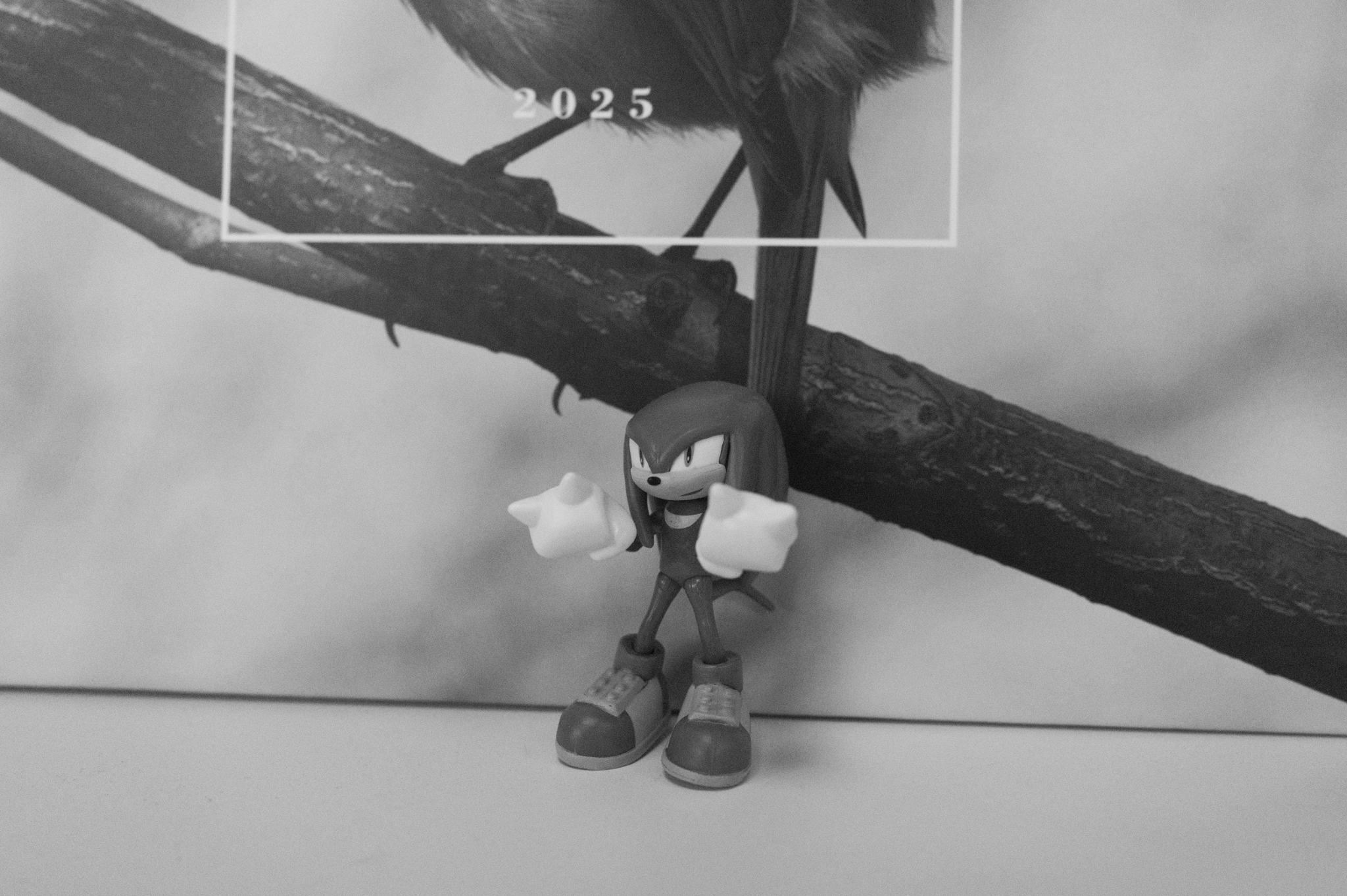 A photo taken on a Leica Q3 Monochrom black-and-white camera