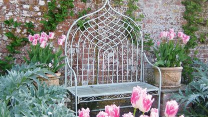 garden bench and tulips