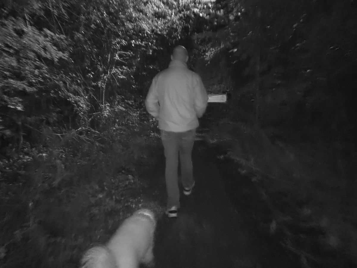 DOOGEE S98 Pro review: Night Vision Camera