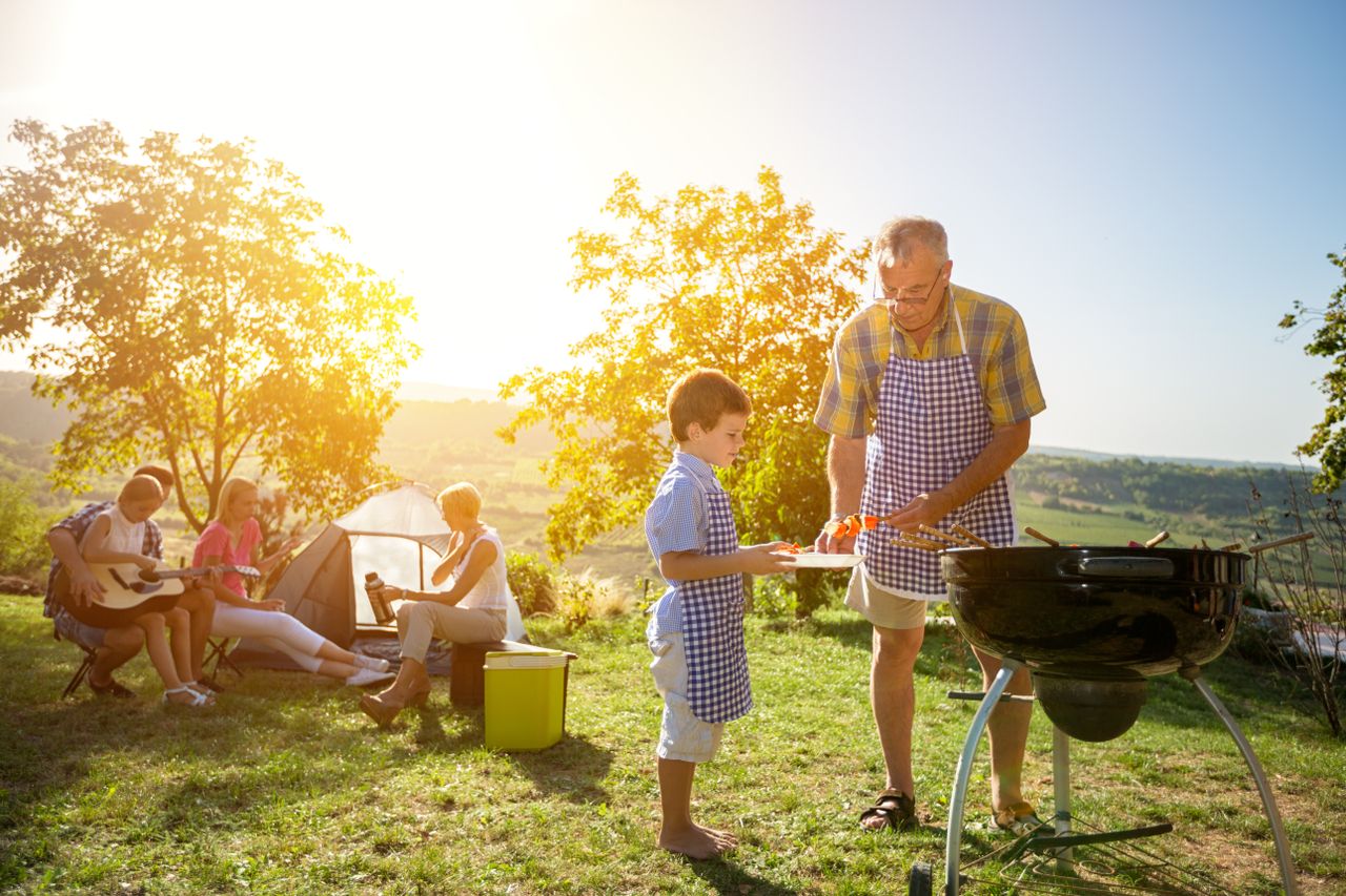 summer BBQ in a field