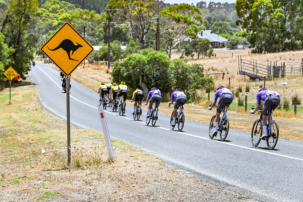 A break during the 2026 Tour Down Under