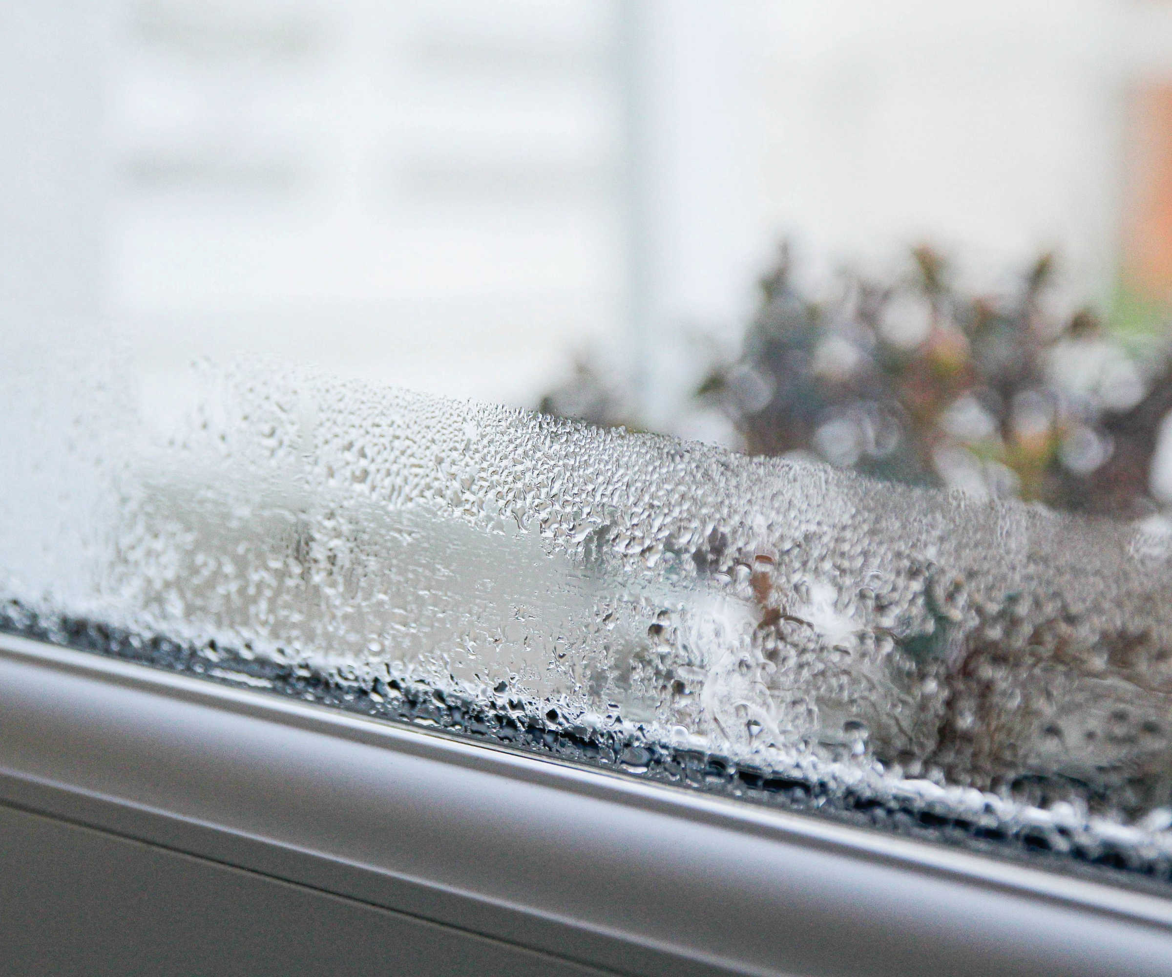 Condensation on window