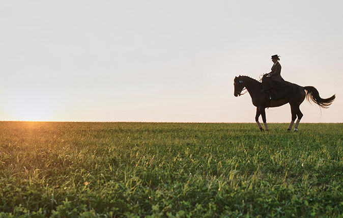 FENYX8 Silhouetted dressage horse and rider training in field at sunset