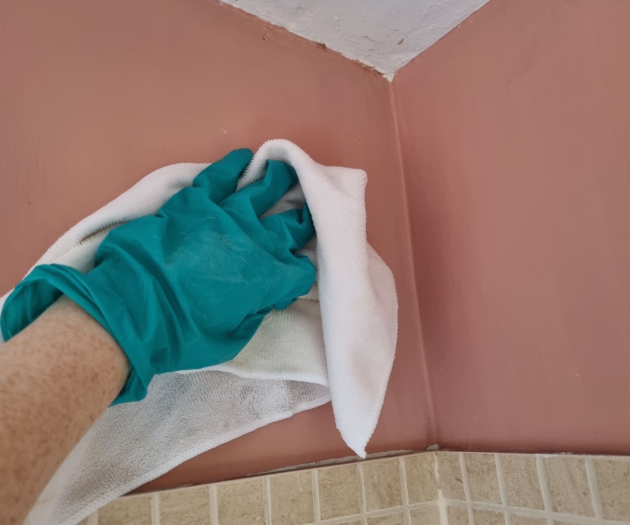 gloved hands cleaning mould off a pink wall with a cloth