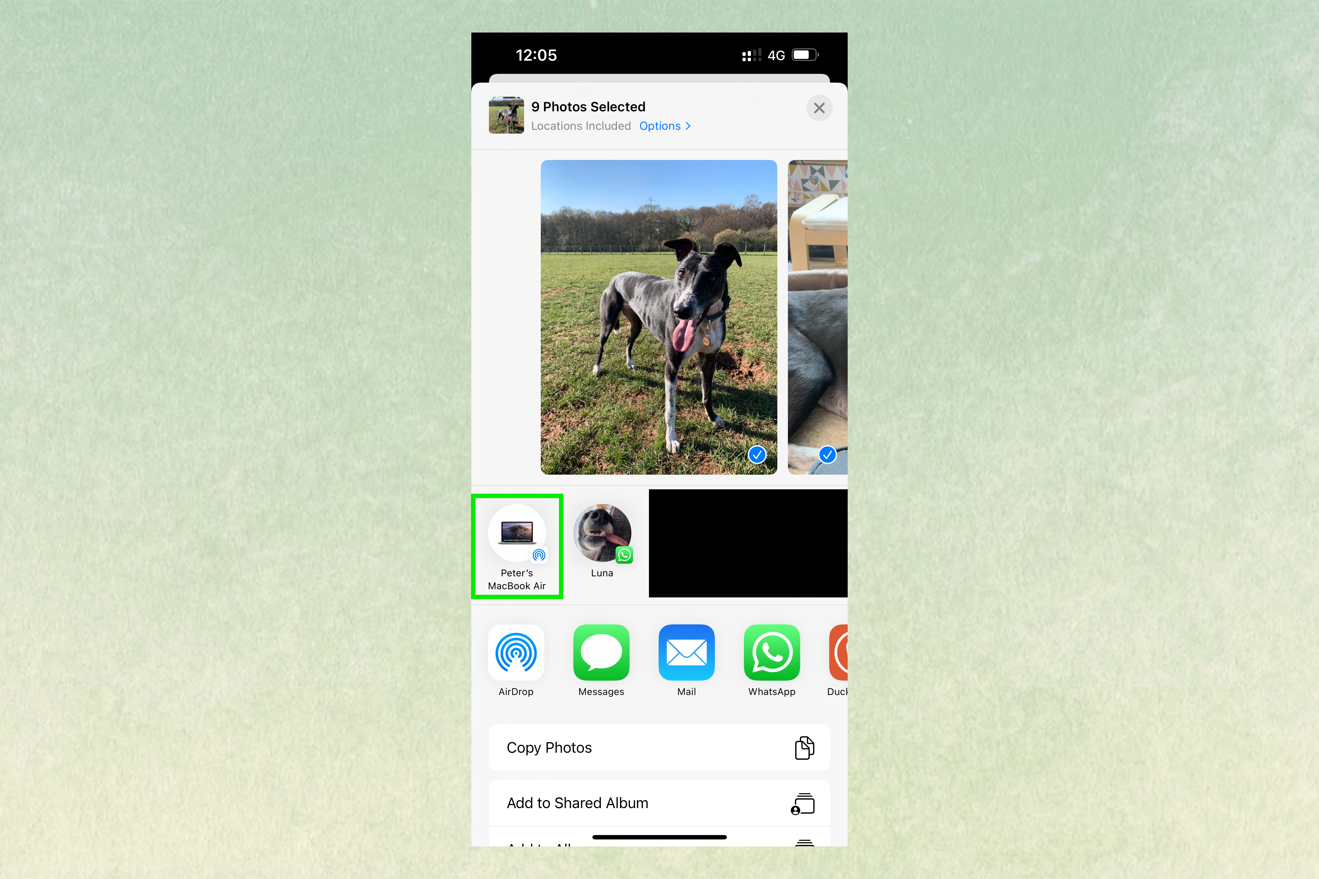 Screenshots of how to transfer photos from iPhone to Mac using AirDrop