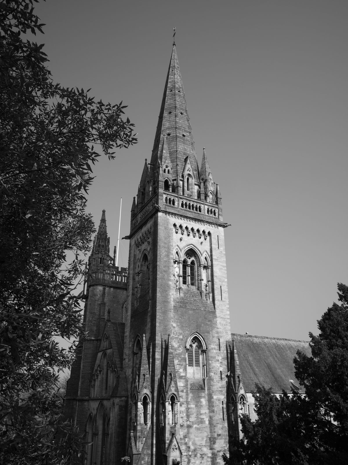A black and white portrait of a cathedral steeple against a blue sky with a tree in the left of the shot