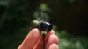 Optoma NuForce BE Sport4
