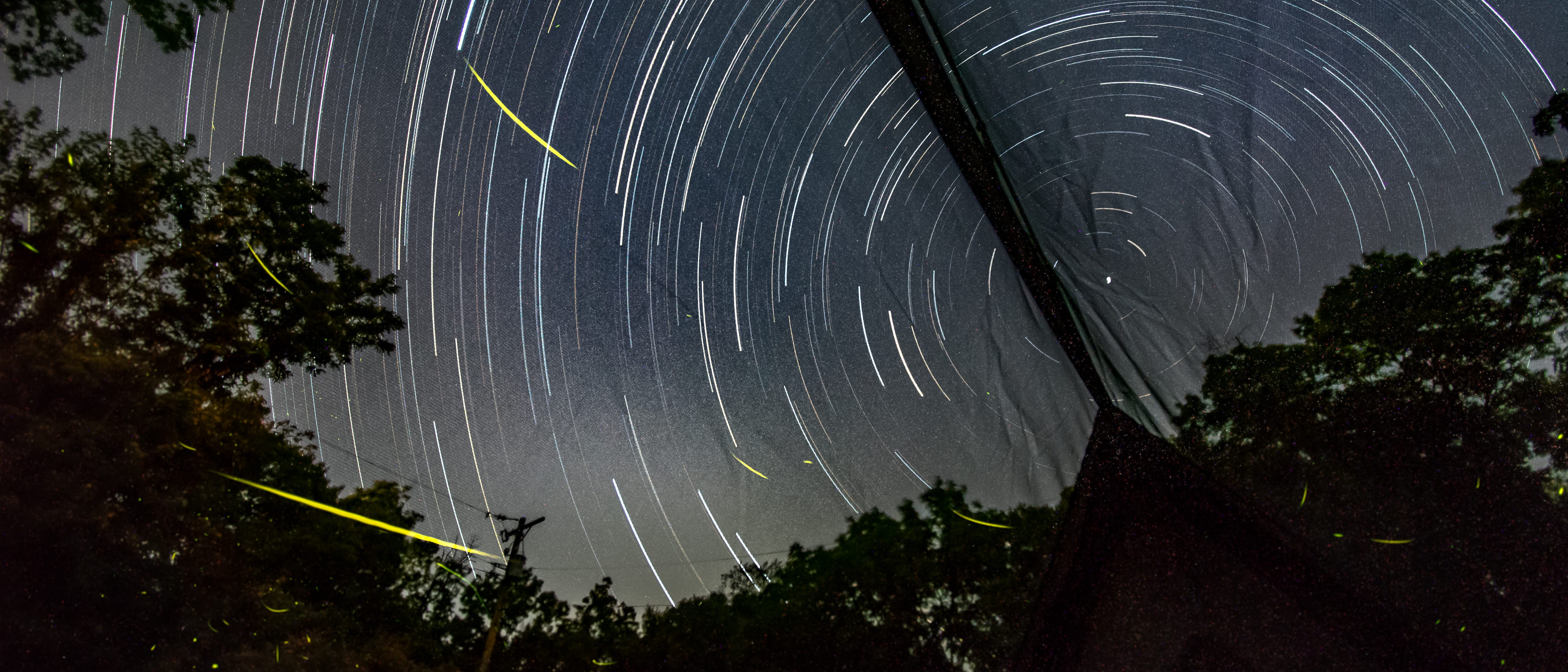 A swirl of stars is seen behind silhouetted trees.