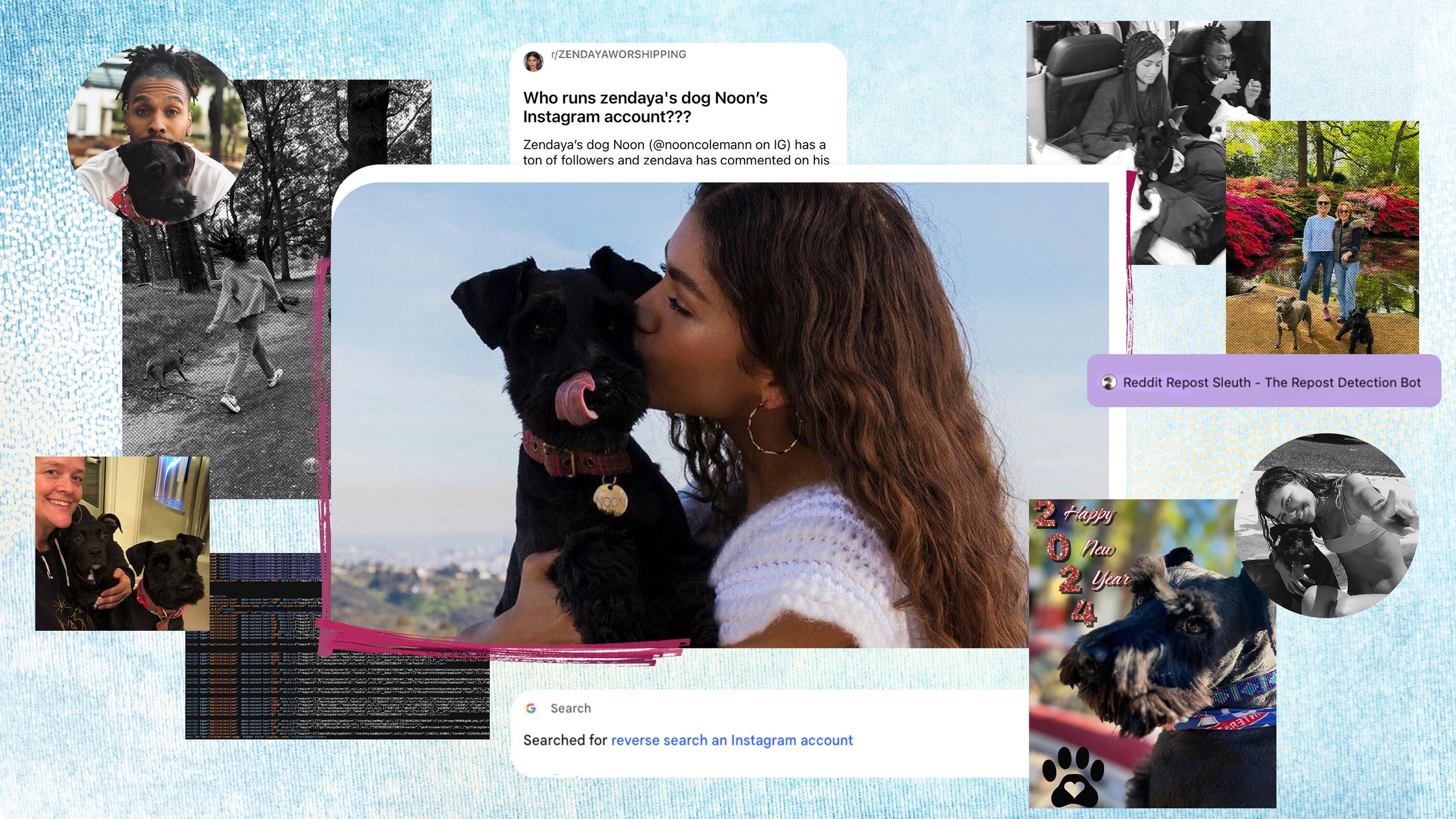 Who Runs @nooncolemann, Zendaya Dog's Instagram? | Marie Claire