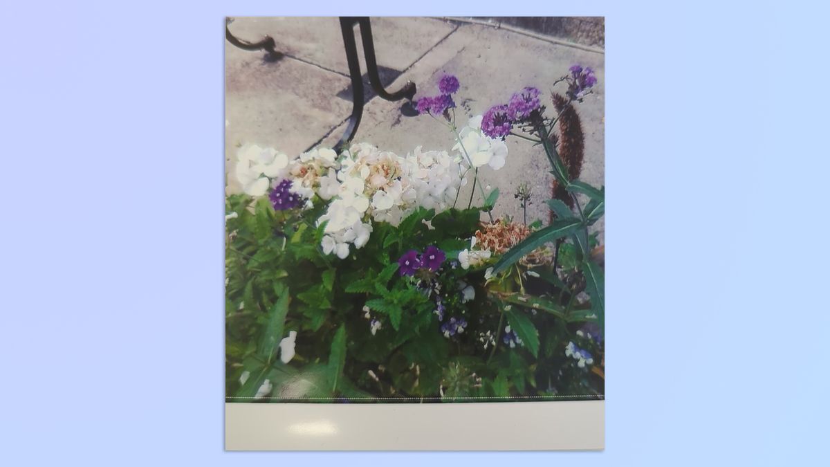 A photo of xxx taken on a Kodak Mini Shot 4 Era 2-in-1 instant camera