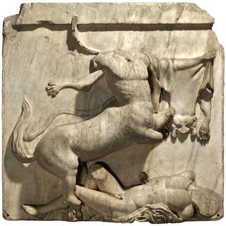 A metope depicts a battle between a centaur and a Lapith man.