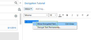 show encrypted text
