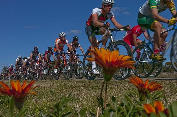 The peloton make their way around the streets of Robinvale on stage nine of the tour.
