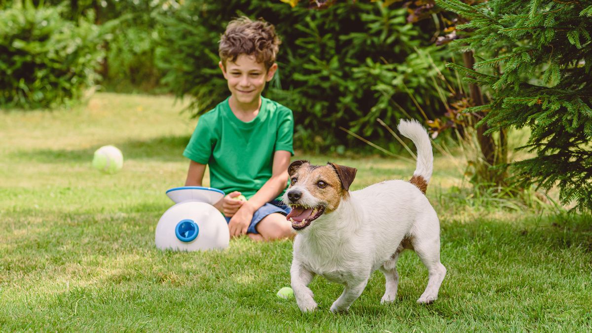 Child and dog playing with one of the best ball throwing machines for dogs