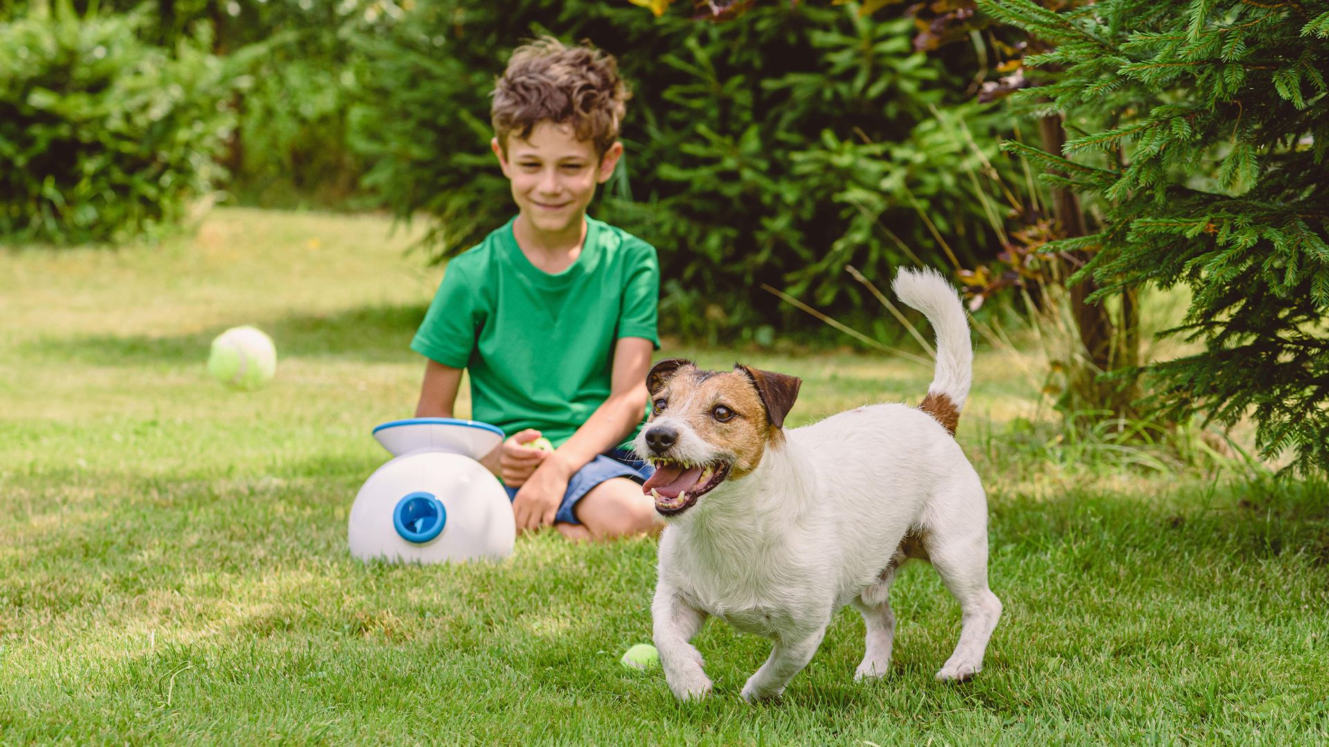 Best ball throwing machines for dogs 2024 for effortless entertainment ...