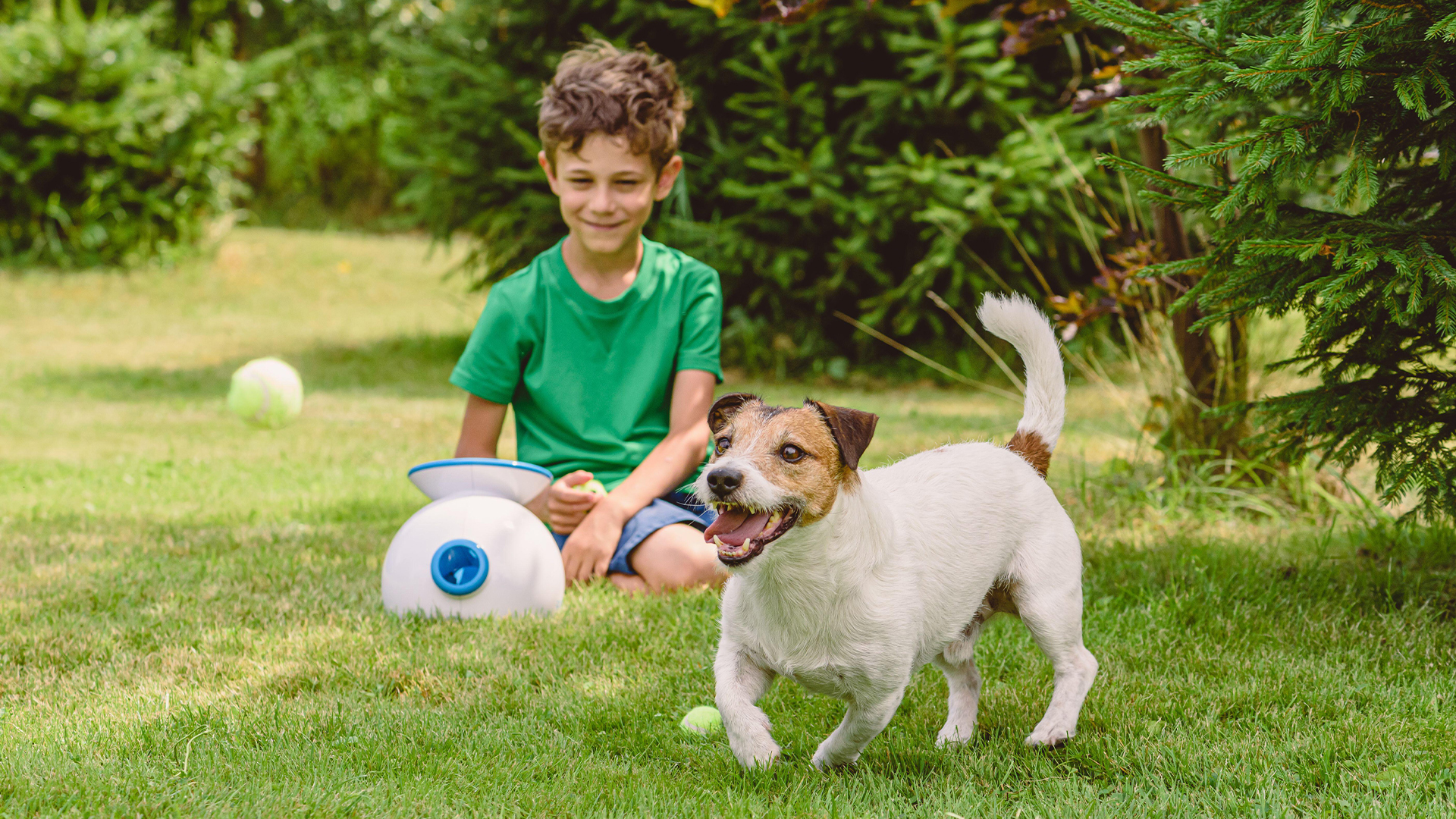 Best Ball Throwing Machines For Dogs 2024 For Effortless Entertainment 