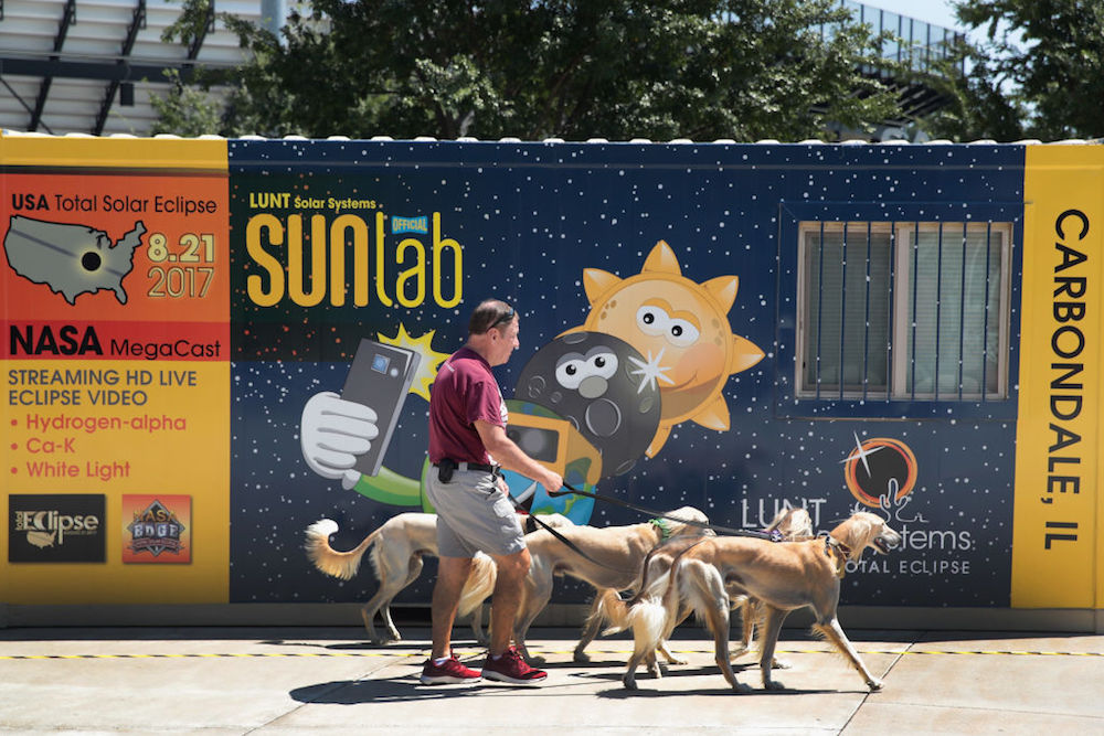 Saluki dogs are walked past a solar eclipse exhibit on the campus of Southern Illinois University on August 19, 2017, in Carbondale, Illinois.