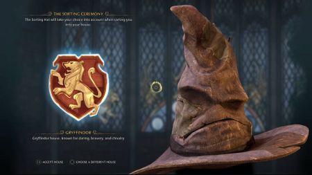 Hogwarts Legacy House and wand