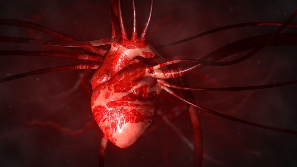 'Love hormone' oxytocin may help mend broken hearts (literally), lab study suggests - Livescience.com