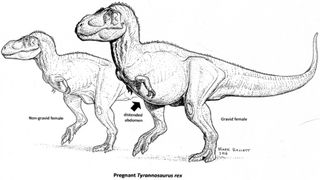 Rendering of pregnant T. rex.