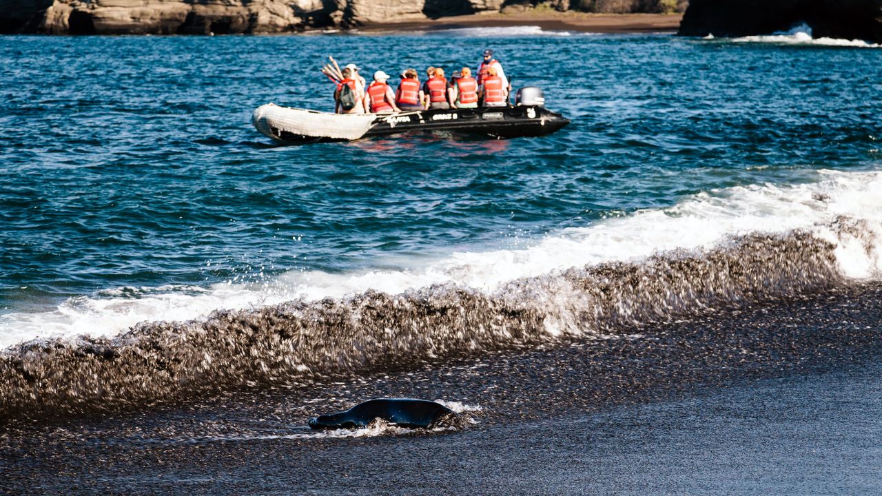 Galapagos Islands cruise on Santa Cruz II