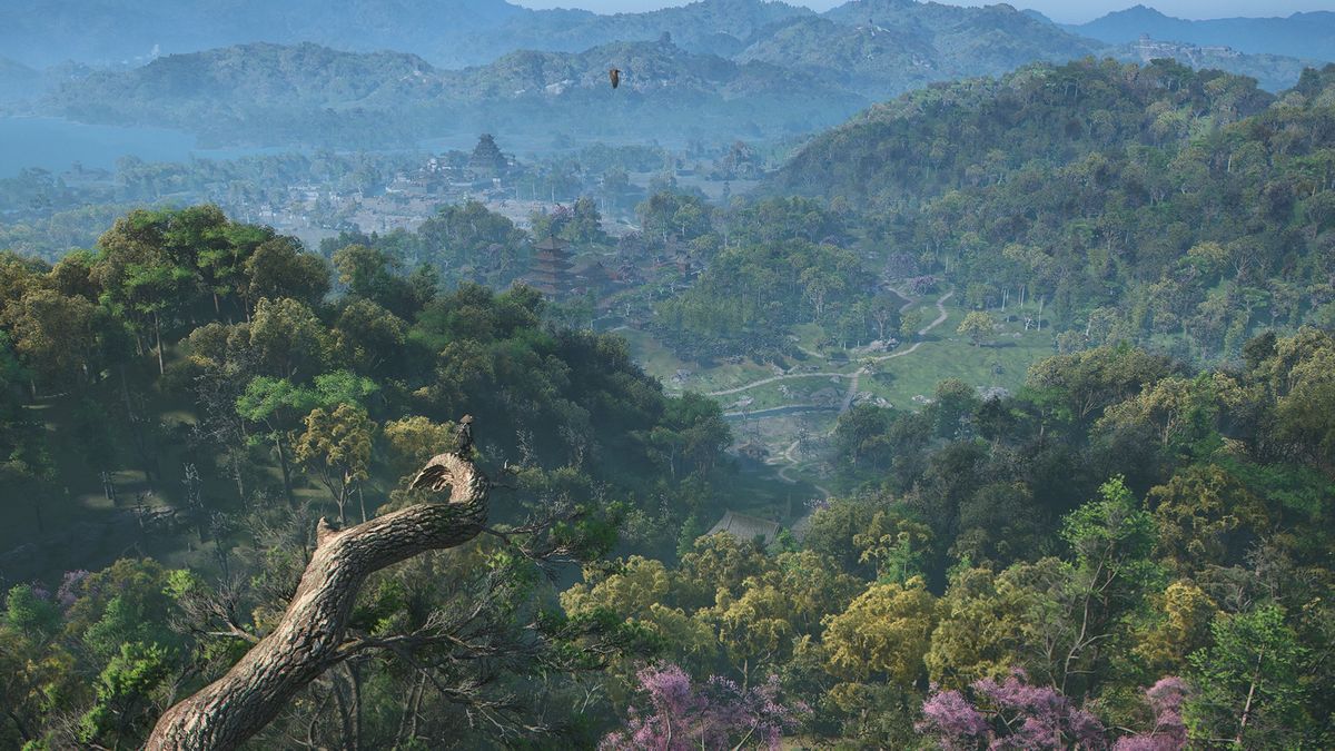 Assassin's Creed Shadows screenshot showing a vast forested vista with Naoe perched on the end of a branch overlooking the view