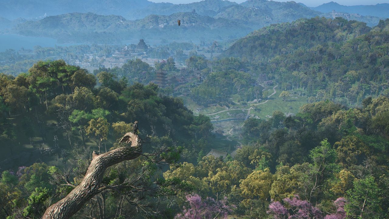 Assassin's Creed Shadows screenshot showing a vast forested vista with Naoe perched on the end of a branch overlooking the view