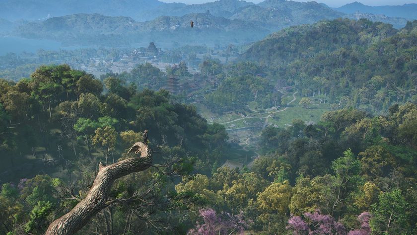 Assassin&#039;s Creed Shadows screenshot showing a vast forested vista with Naoe perched on the end of a branch overlooking the view