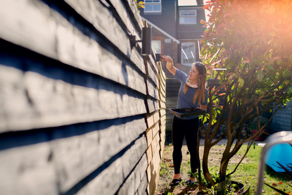 Woman painting fence in her back garden after learning which side of the fence is hers