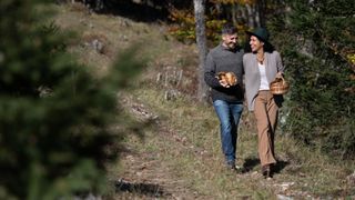 Couple walking hand in hand through forest foraging for mushrooms after learning how to improve your sex life