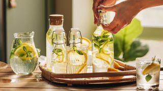 Lemons and limes sitting in infused bottles of water