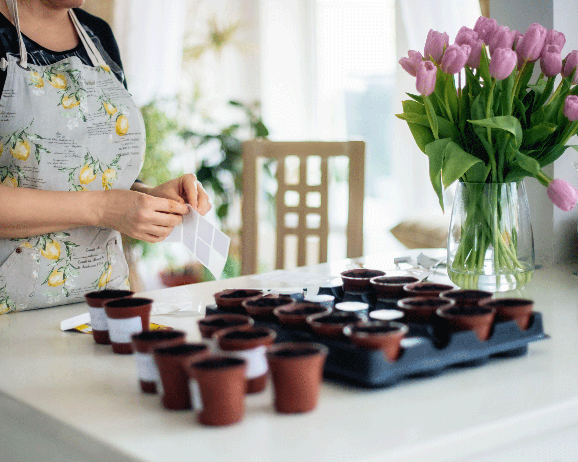 woman labeling seeds in small pots