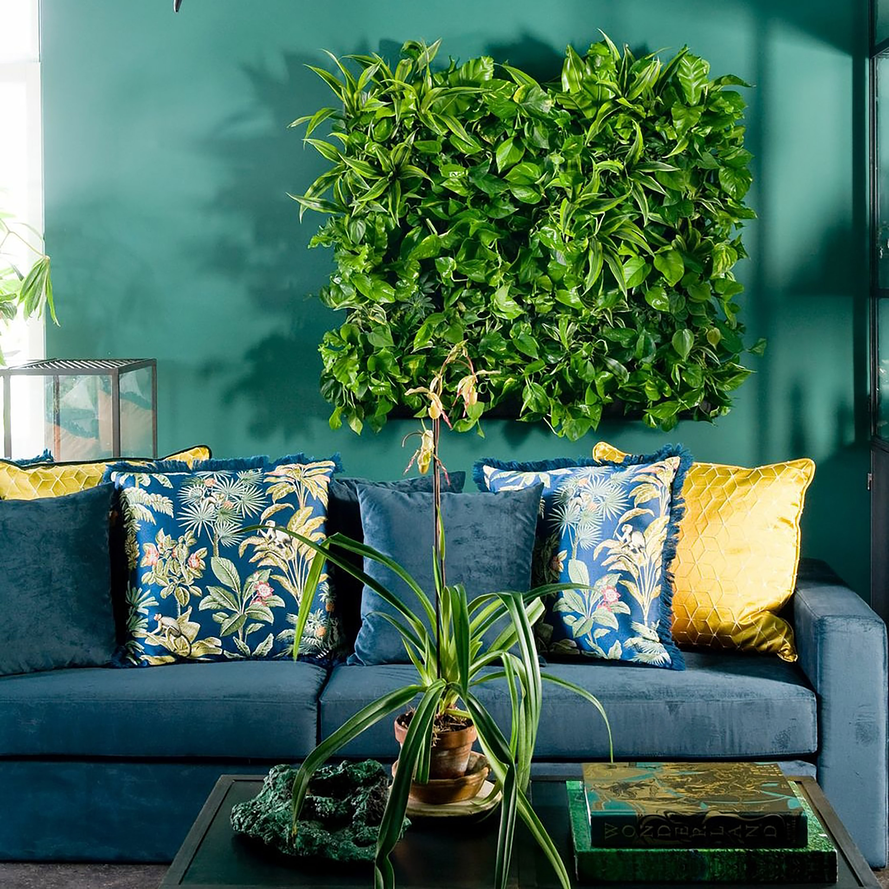 indoor garden ideas: living wall