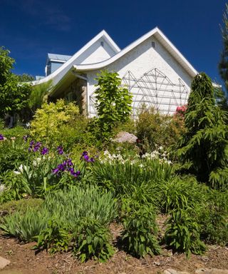 sloping garden with house and flower borders