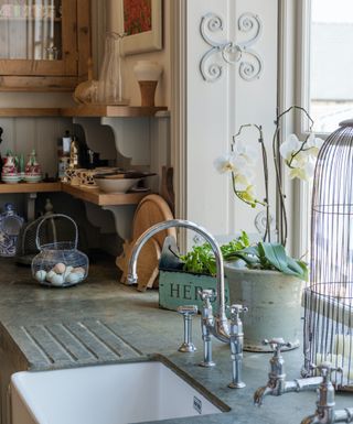 A country-style kitchen with plants and herbs near the skin and window