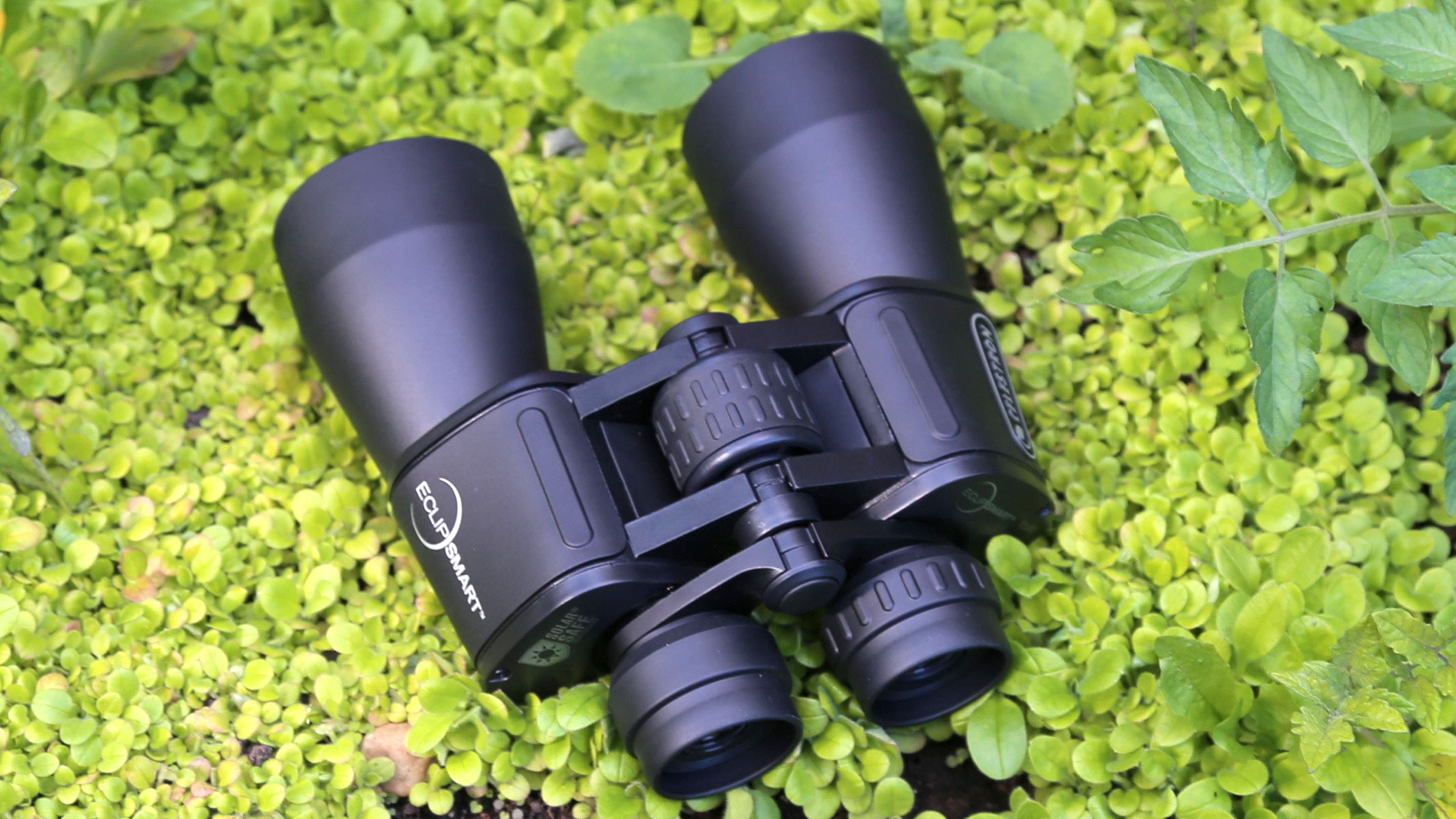 EclipSmart 12x50 binoculars placed on foliage