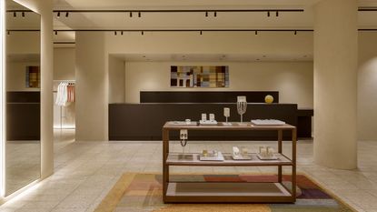 COS ALEKSANTERINKATU_DALIA JAMES